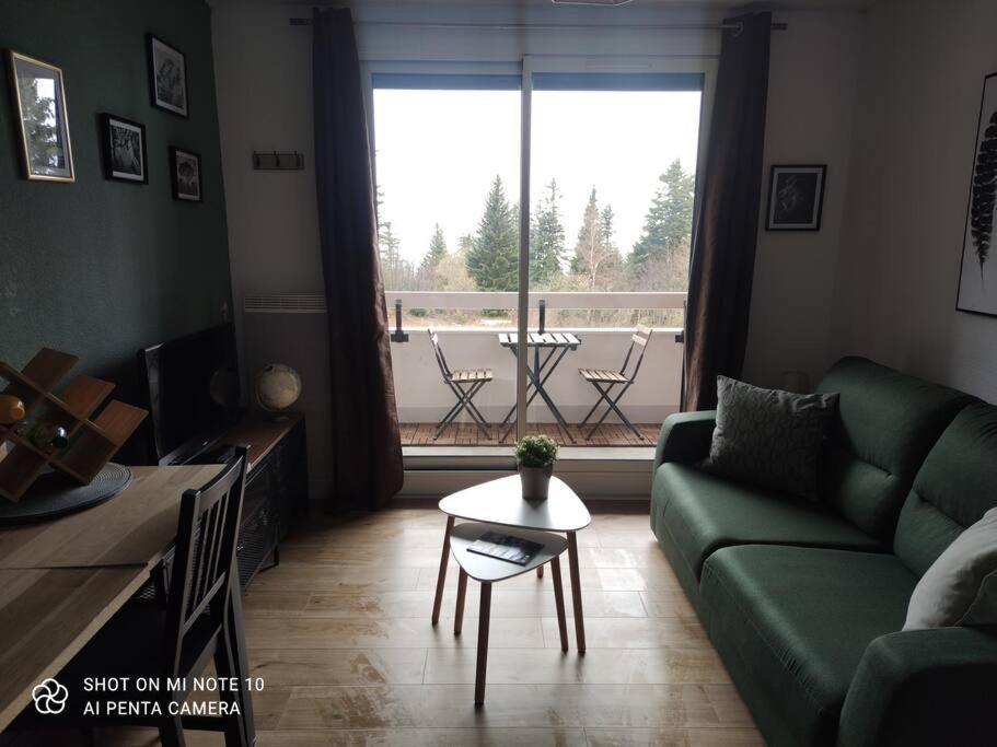 Beau Cozy Apartment *